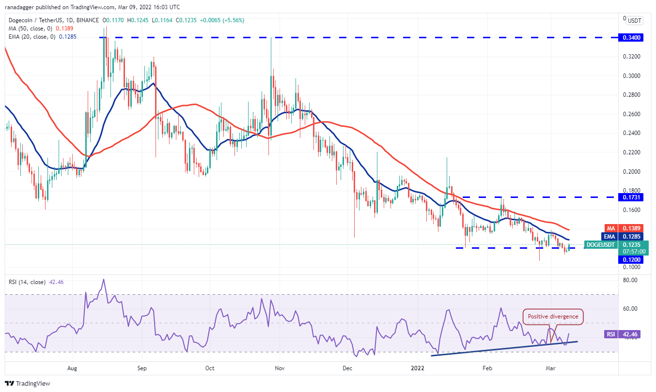 XRP空投即将开始，参与用户将获ADA枚代币